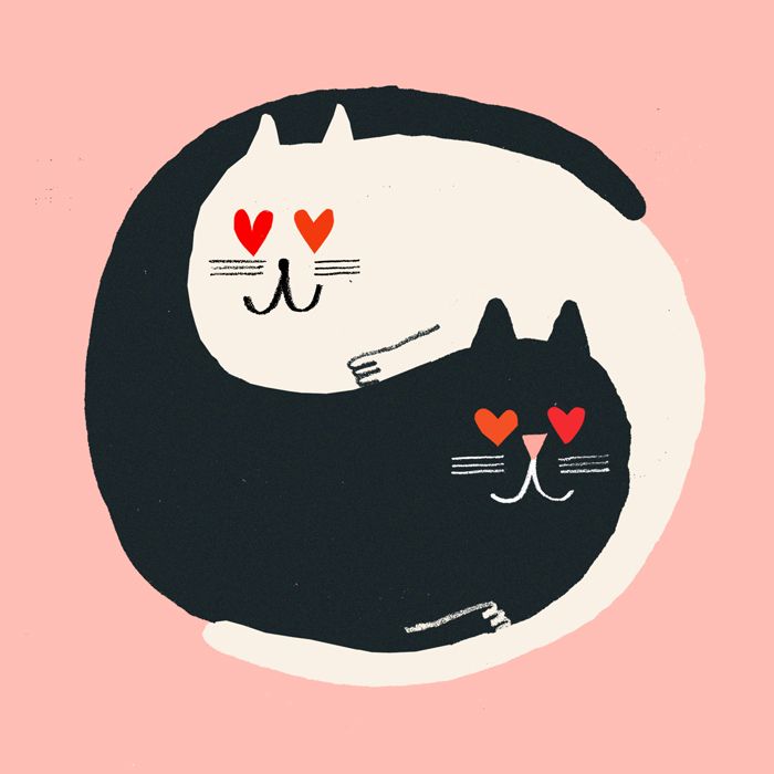 Yin Yang Cats. Rob Hodgson. | Cats illustrations | Pinterest