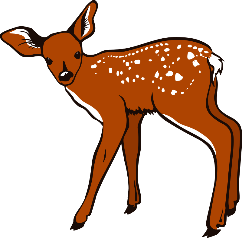 Download Fawn Clipart