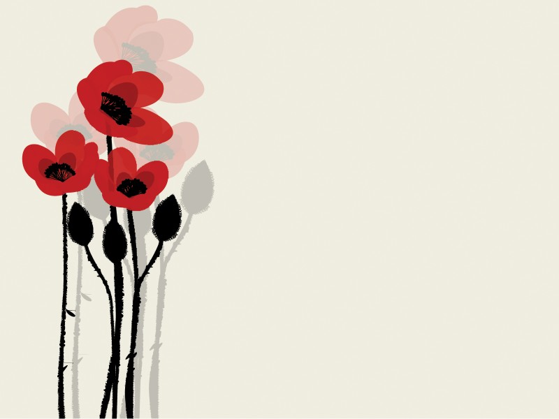 Summer Poppy Flowers Powerpoint Templates - Black, Flowers, Red ...