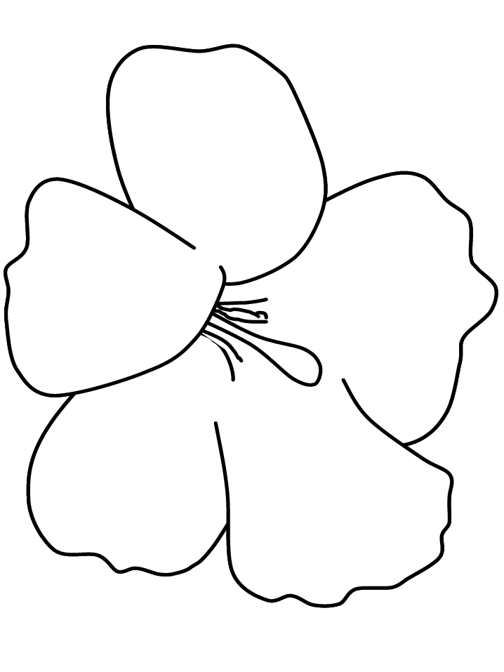 Hibiscus Flower Coloring Pages - Flower Coloring Page