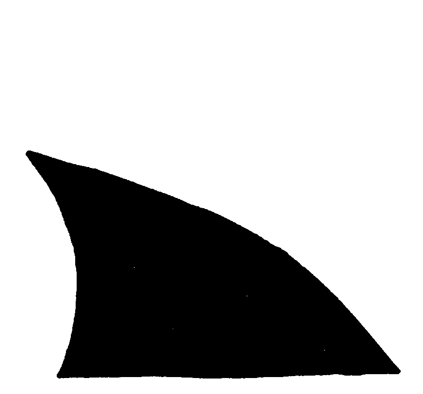 Shark Fin Drawing Images & Pictures - Becuo