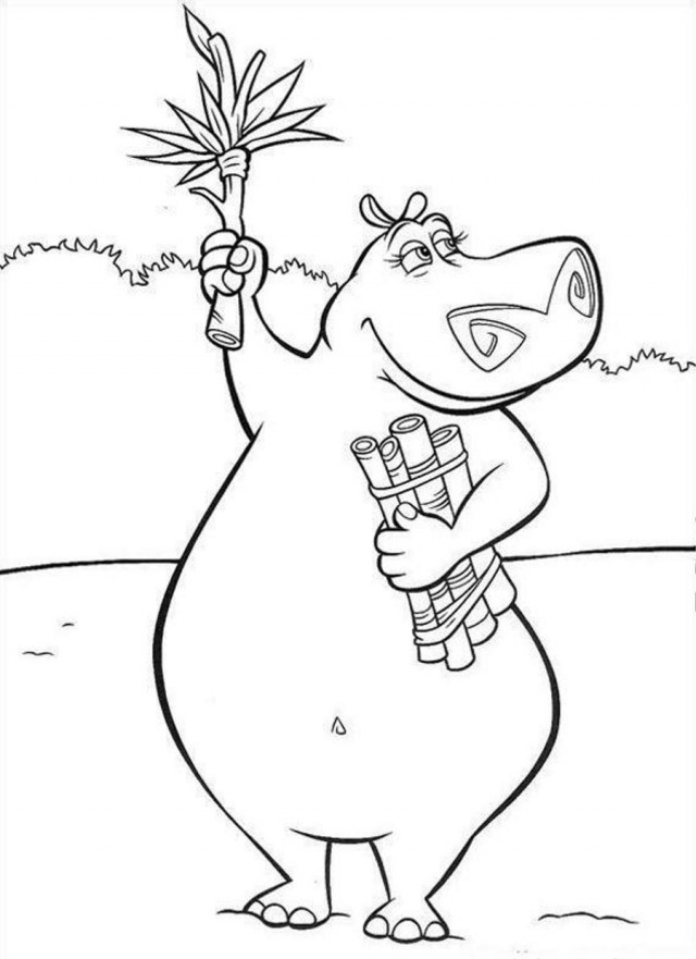 Madagascar Female Hippo Coloring Page Coloringplus 141080 Hippo ...