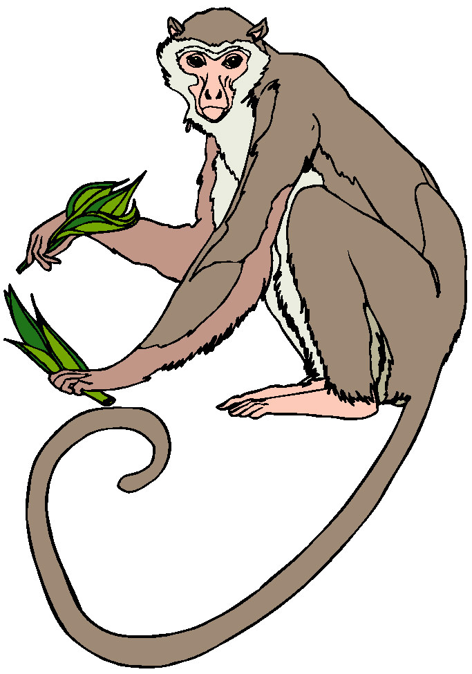 All Cliparts: Monkeys Clipart Gallery2