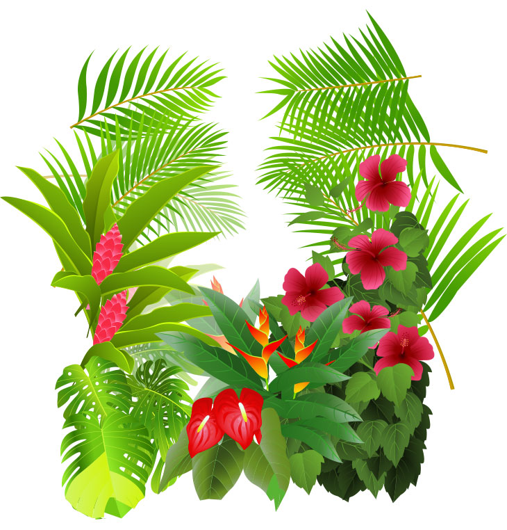 Vector realistic hand-painted plant | Free PSD Files, Templates ...