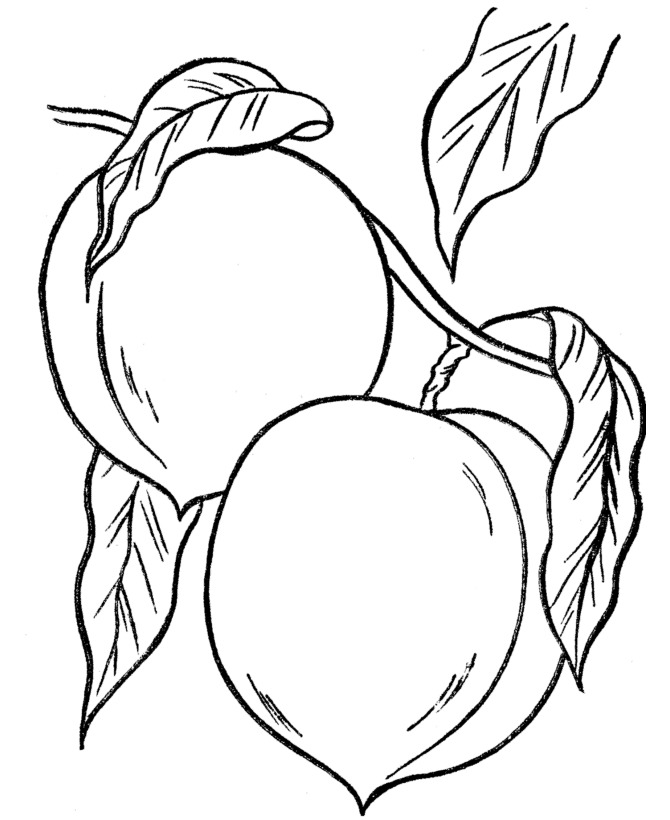 Bible Printables - Thanksgiving Dinner Feast Coloring pages ...