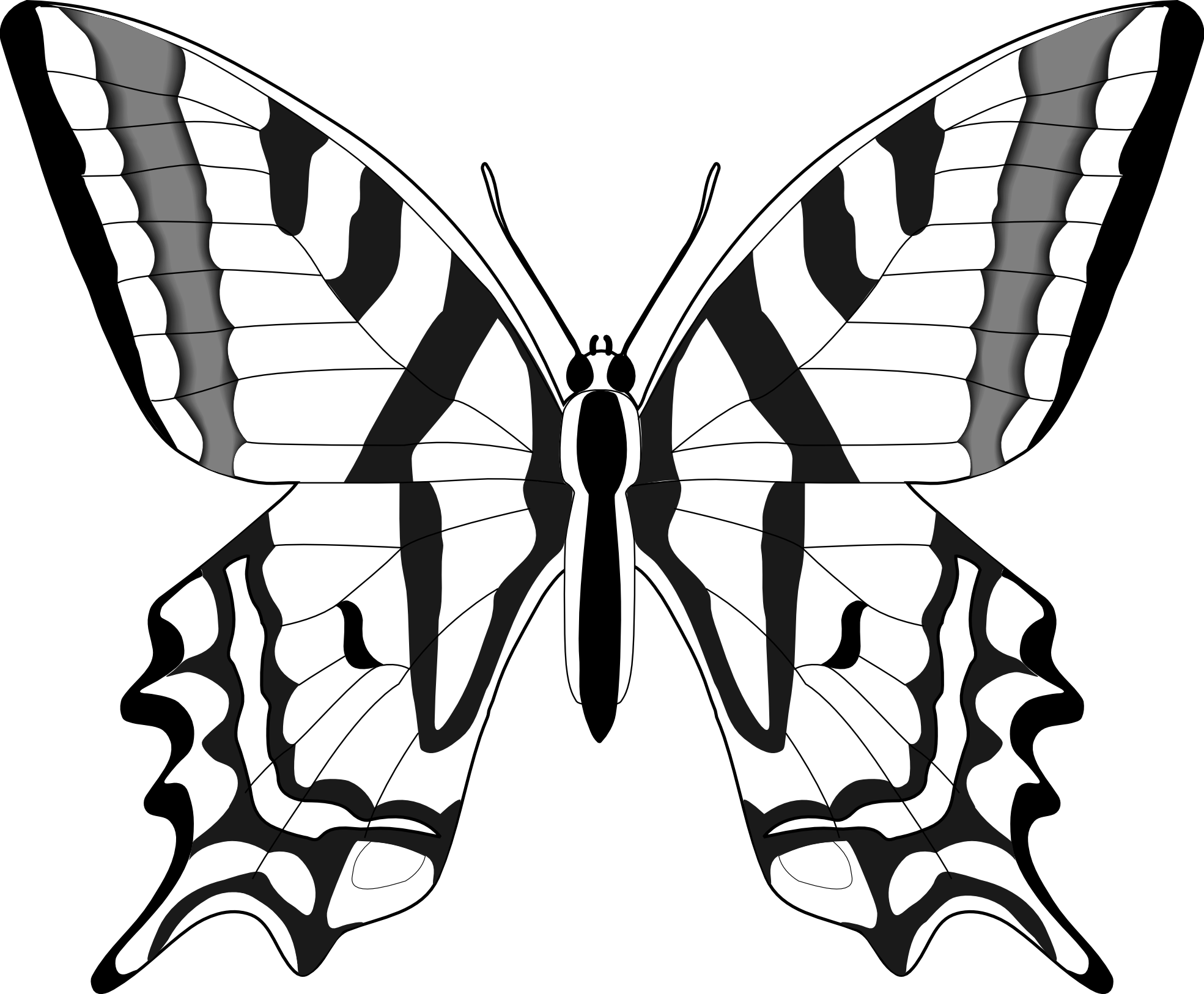 butterfly 55 black white line art SVG - ClipArt Best - ClipArt Best