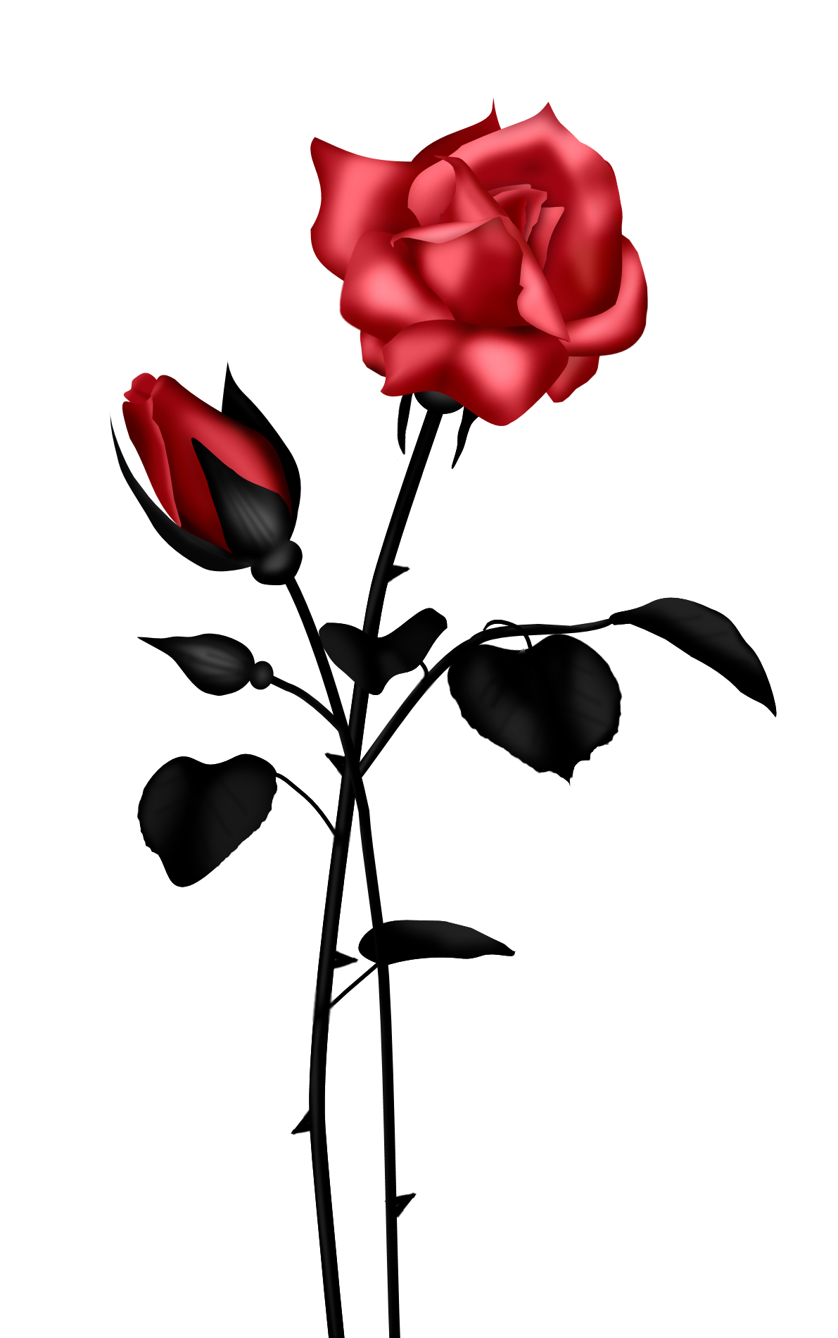 Rose Red Flower Clip Art Vector Online Royalty Free Images ...