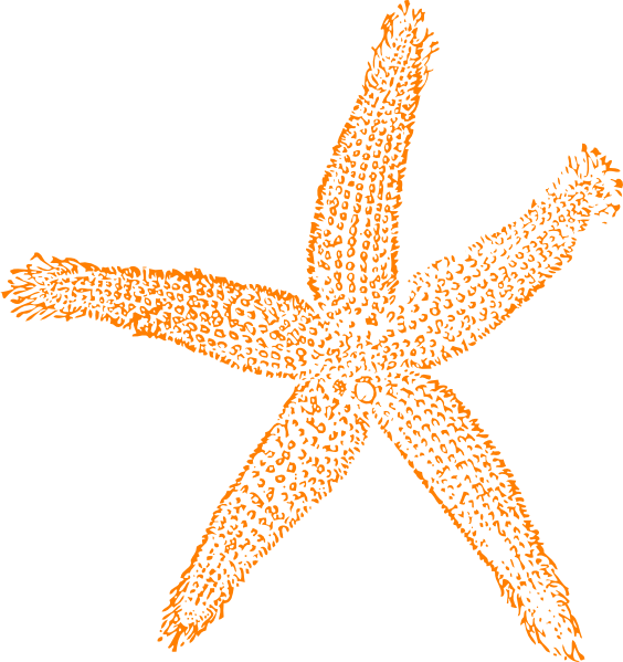 Single Starfish Orange clip art - vector clip art online, royalty ...