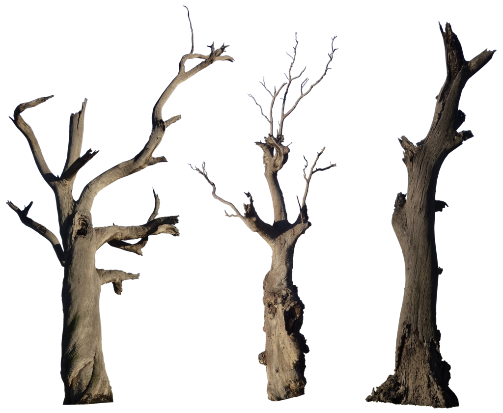 Dead Tree Trunk Clip Art – Cliparts