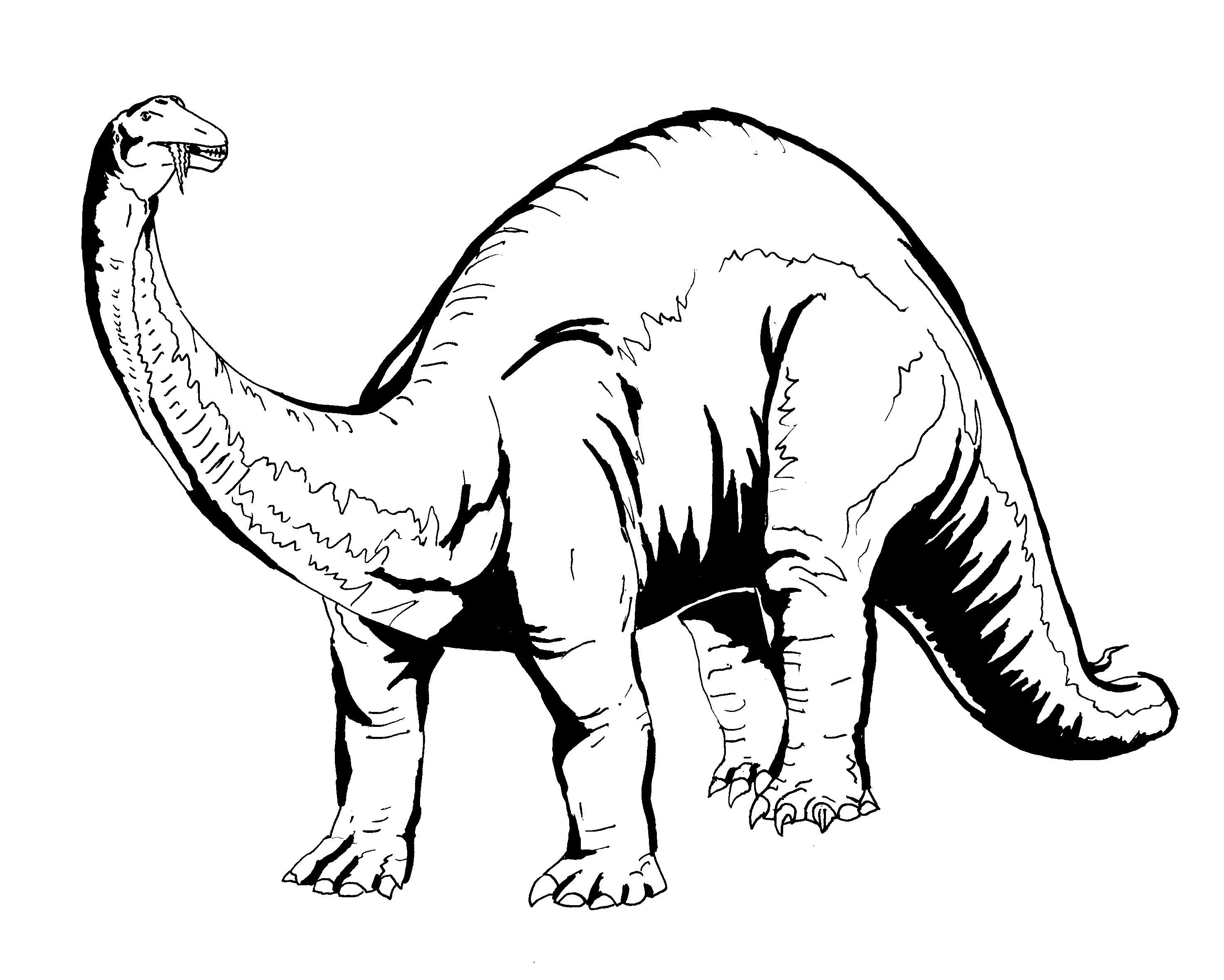 Dinosaur Line Drawing Cliparts.co