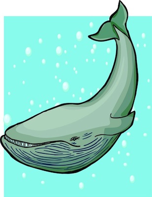 Facts about Whales for Kids - Whale Facts and Information
