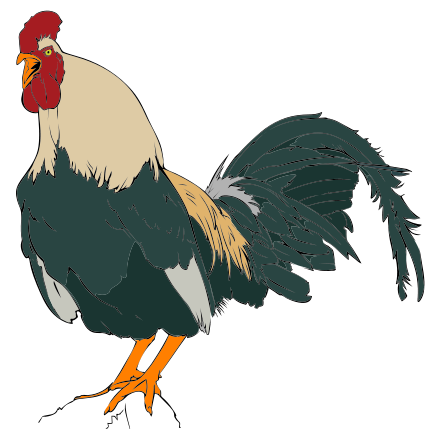 File:Rooster clipart 01.svg - Wikimedia Commons