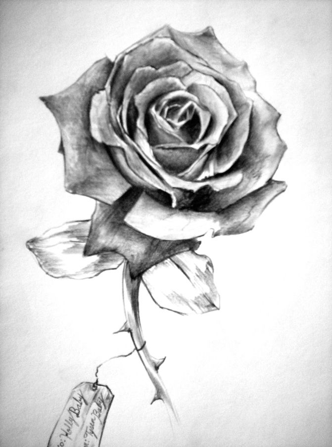 Black And White Rose Tattoo Tattoos Designs Black N Whiterose ...