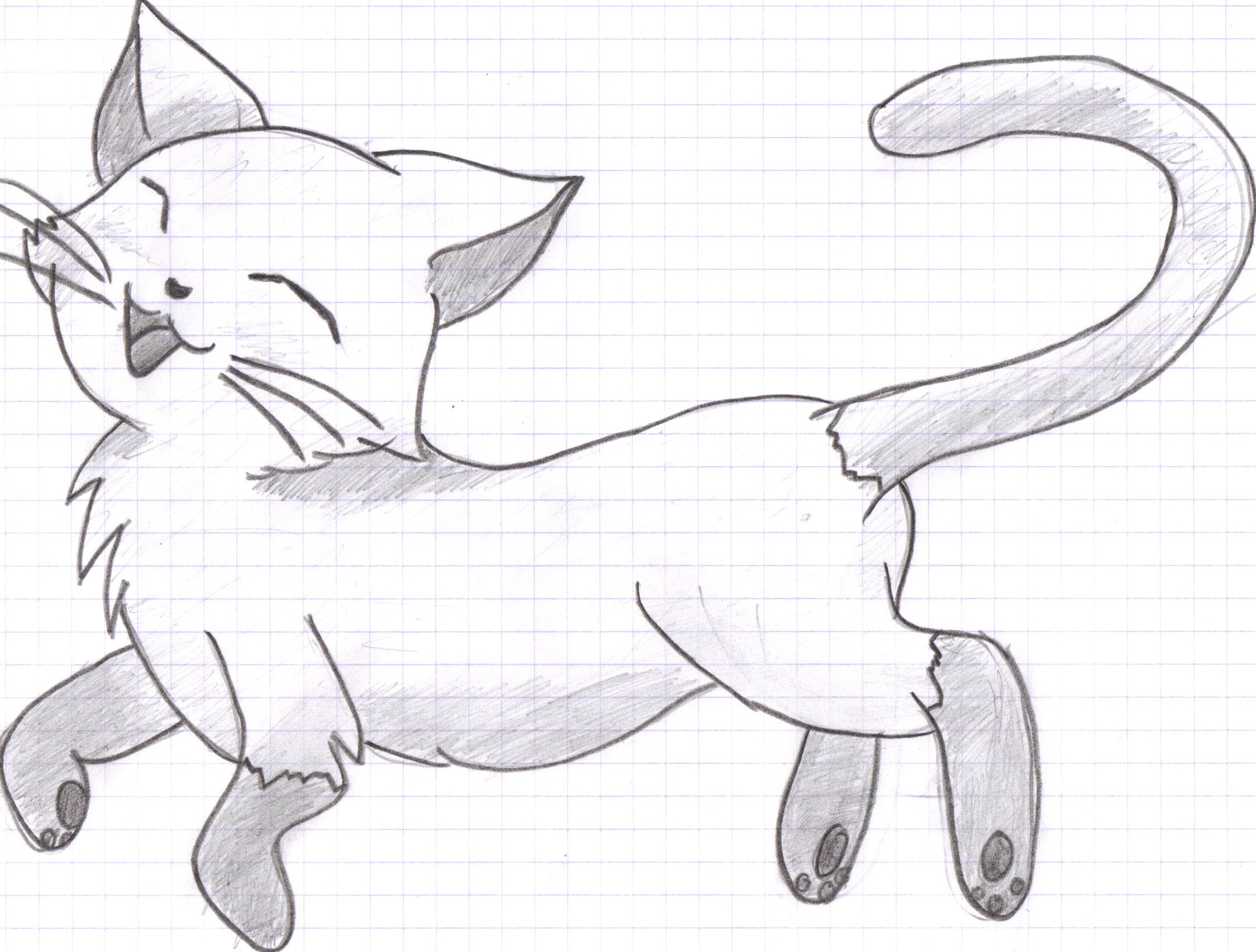 easy cat outline drawing