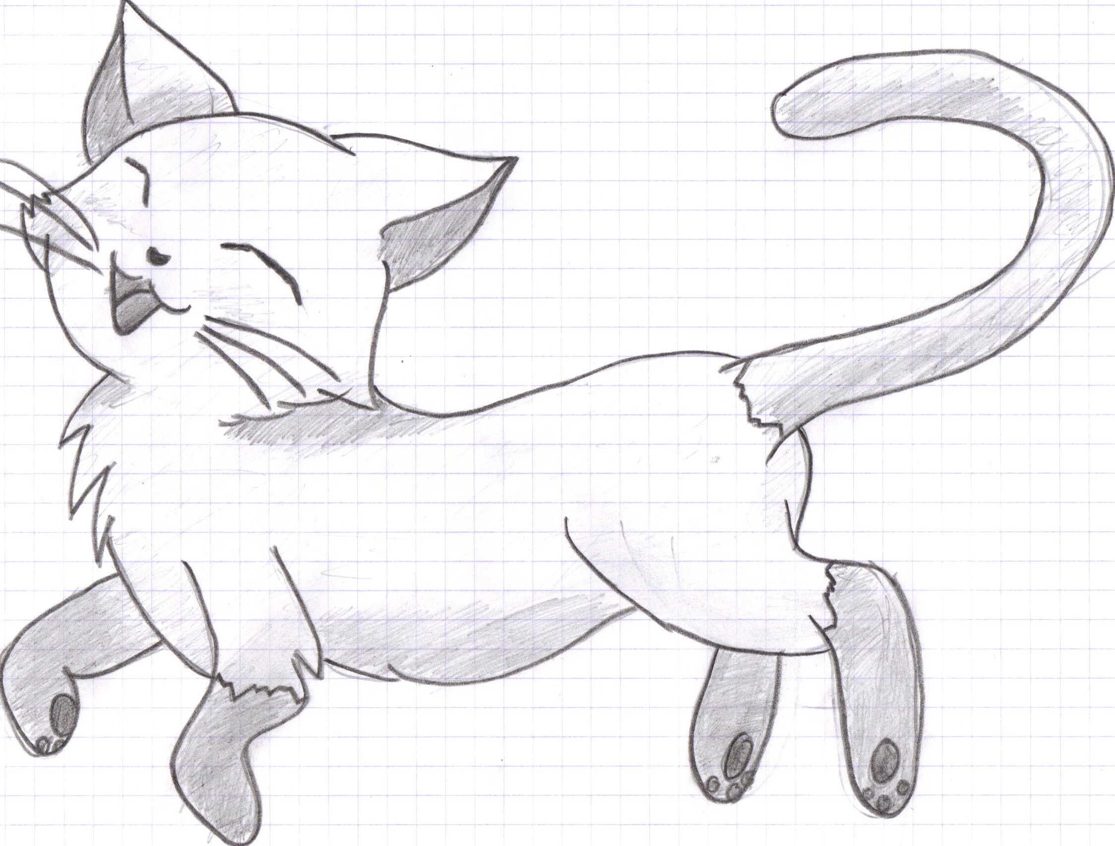 Cat Drawings Cliparts co