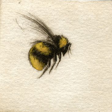 Bumble Bee - Painting Art by Melanie Fain