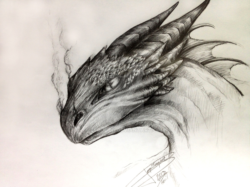 Dragon Drawing - Gallery
