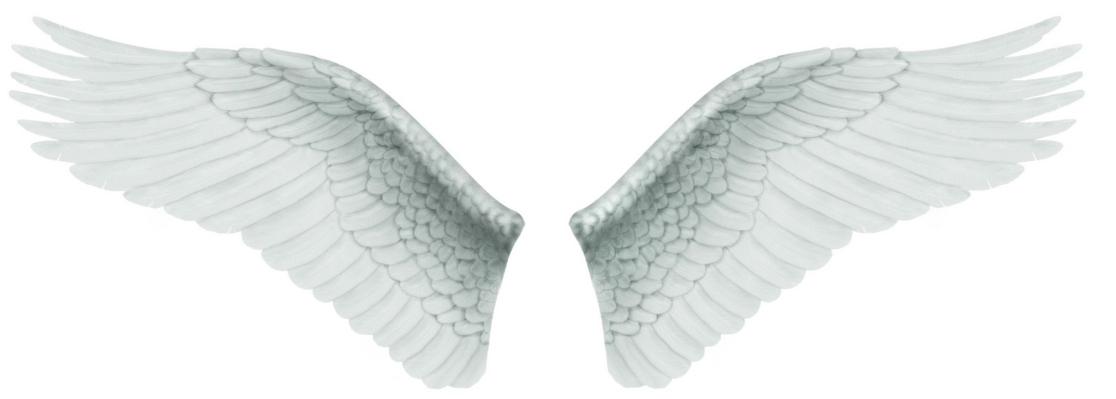 Psd Files Free Download: Angel wings,angel wing tattoos,angel wing ...