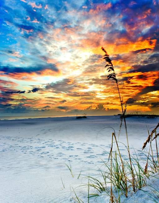 Colorful Red Orange Sunset White Sandy Beach Art by Eszra Tanner