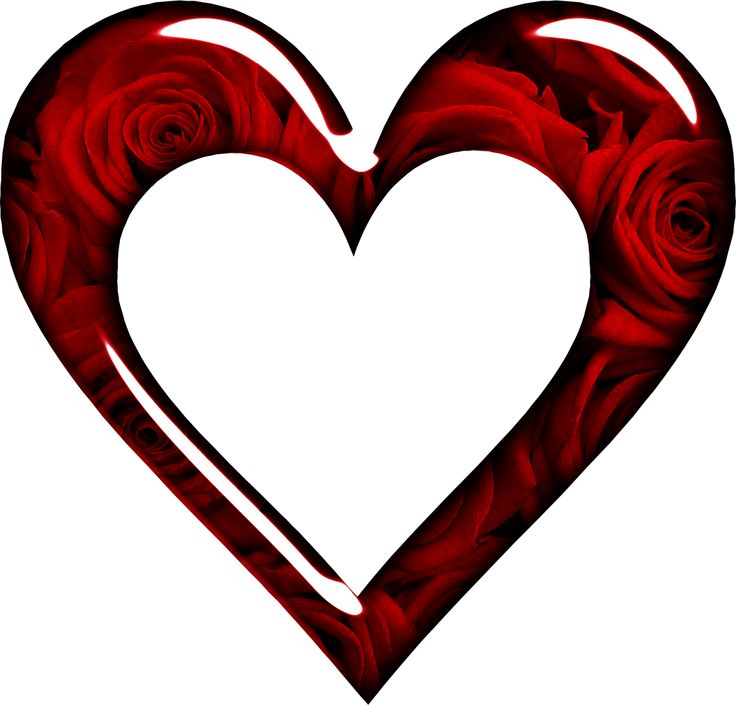 Heart rose | Transparent Background | Pinterest