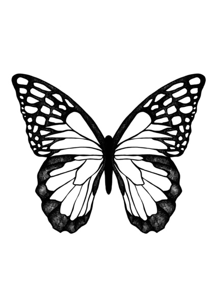 Butterfly Art Pictures - ClipArt Best