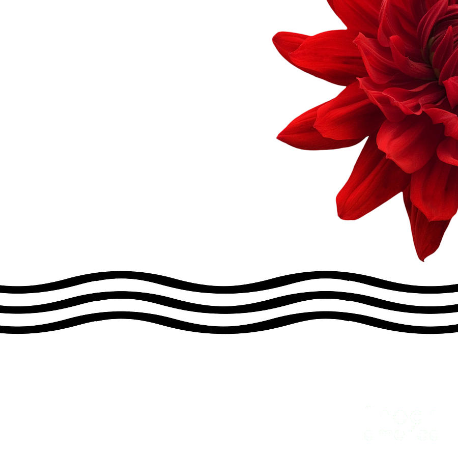 Dahlia Flower And Wavy Lines Triptych Canvas 3 - Red by Natalie ...