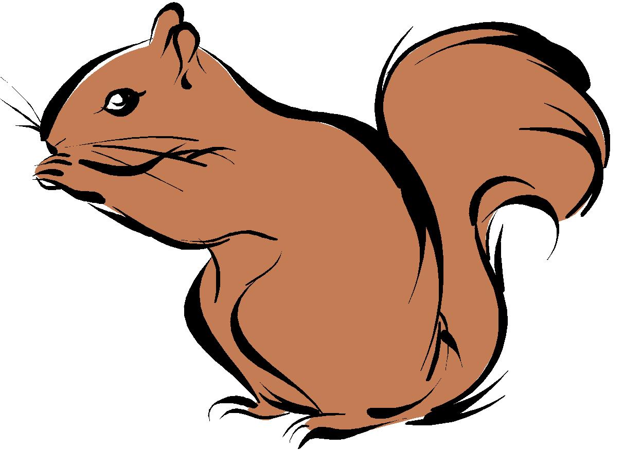 Cartoon Squirrel - ClipArt Best