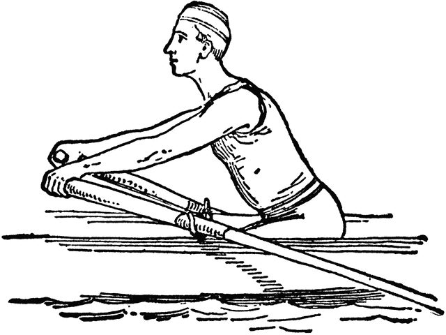 Positions in Rowing | ClipArt ETC