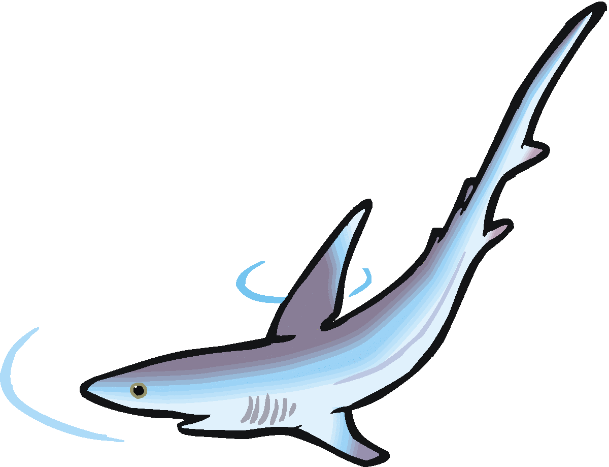 Images For > Shark Clip Art