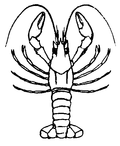 Crayfish Clip Art - Cliparts.co