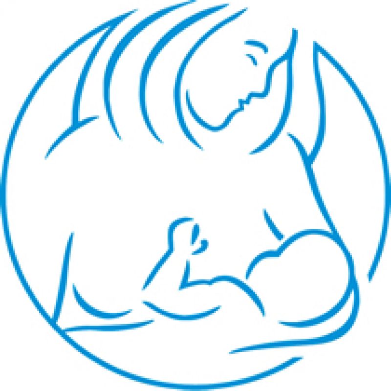 Wild And Wisdom » Breastfeeding