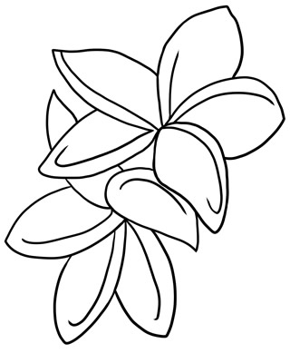 Flower Outline Clipart - ClipArt Best