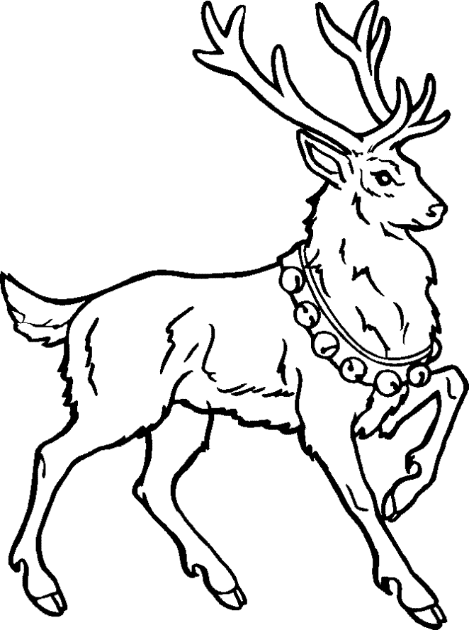 Pix For > Cute Reindeer Drawing