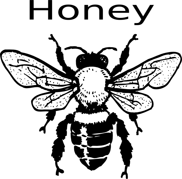 Honey Bee clip art - vector clip art online, royalty free & public ...