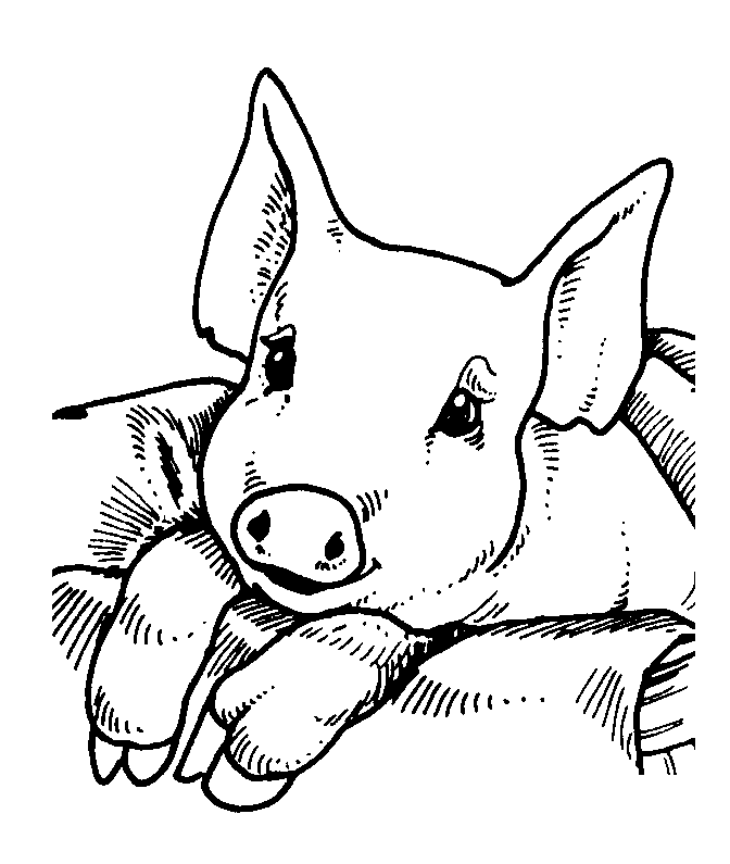 dibujos de cerdos para imprimir | Manualidades con Moldes
