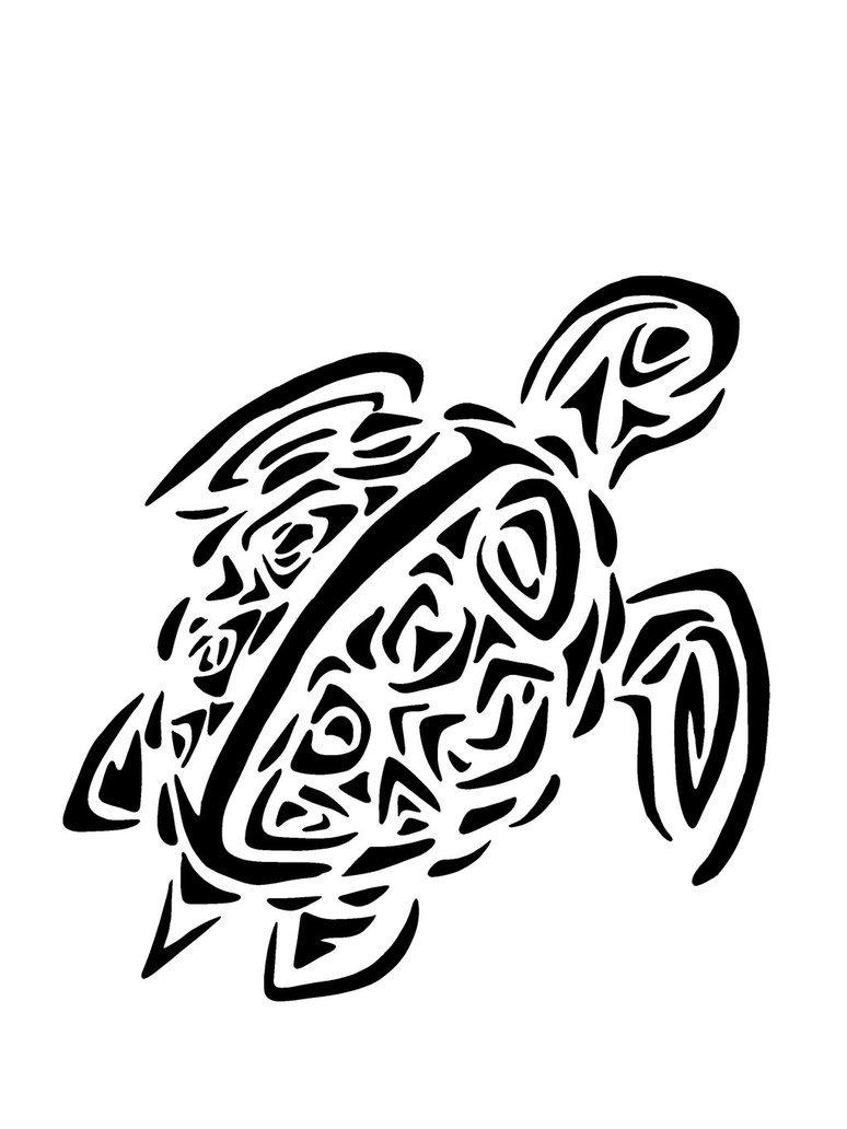 Sea Turtle Outline Cliparts co