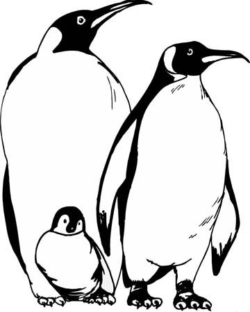 Penguin Coloring Pages For Those Have Happy Feet