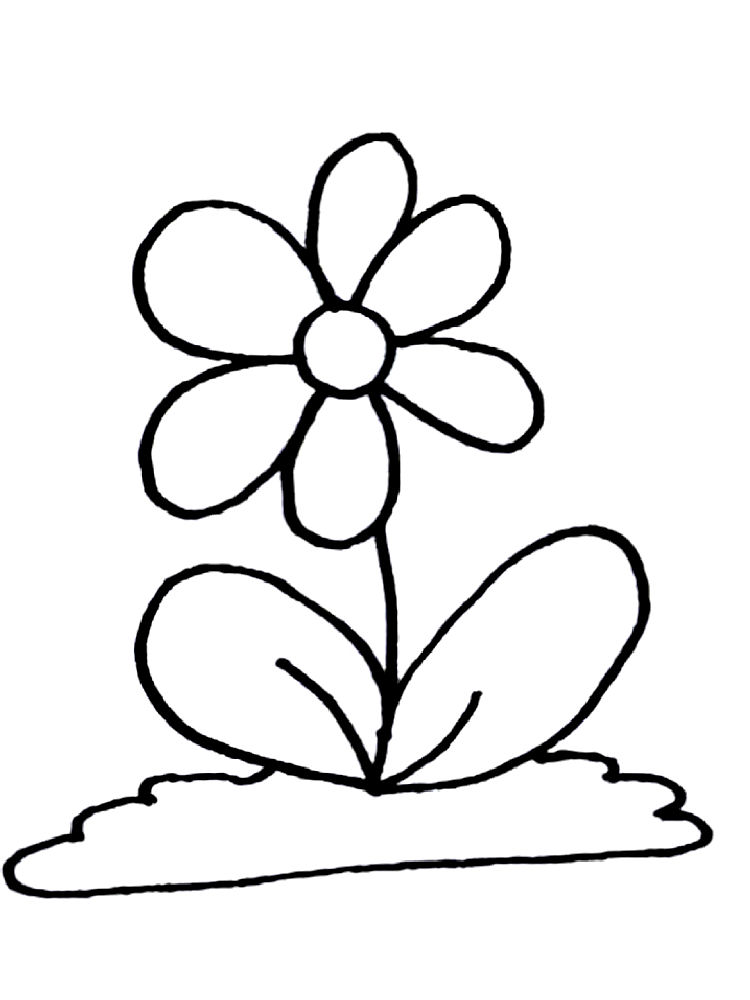 Free Flowers Coloring Cake Ideas and Designs