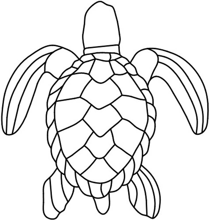 Turtle Line Art Cliparts co
