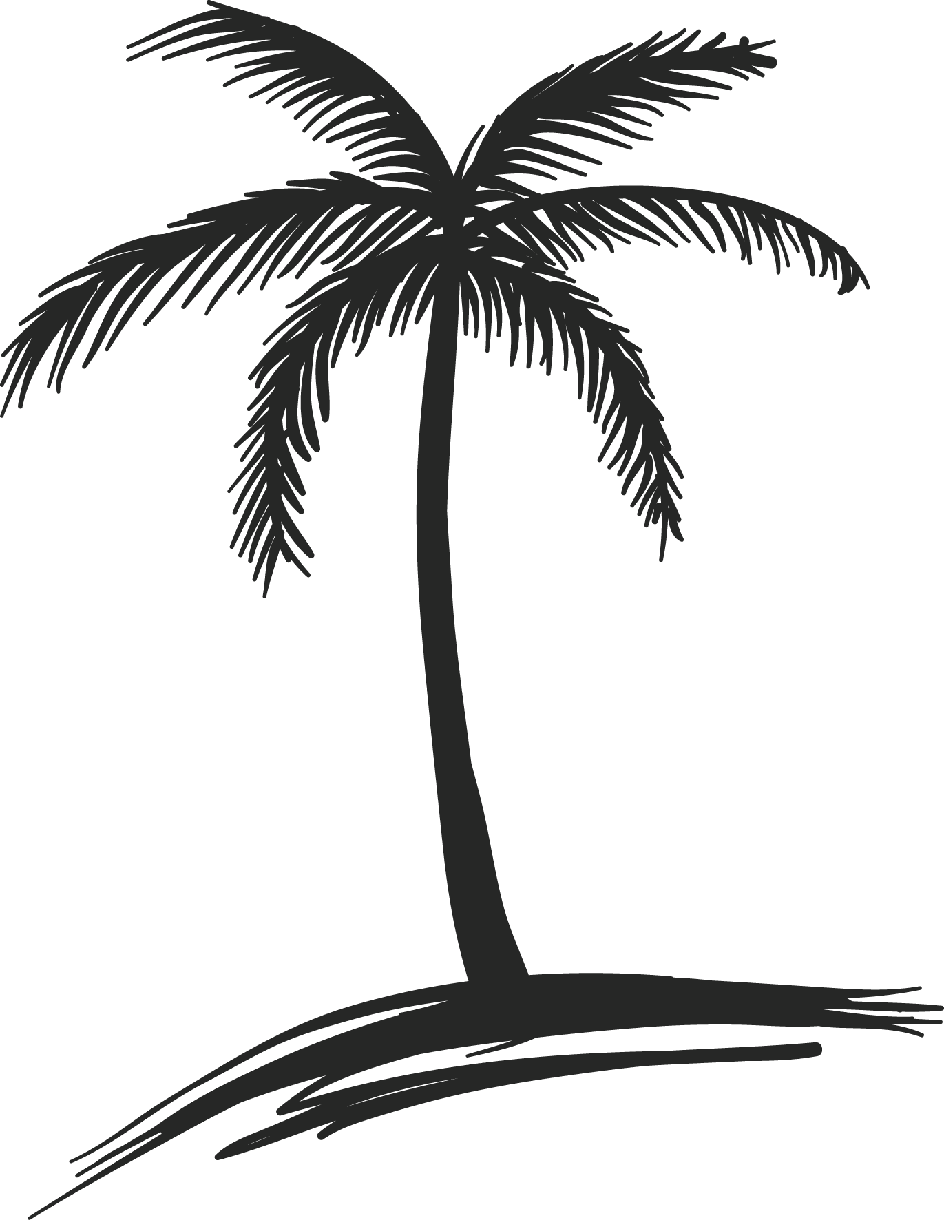 Palm Trees Drawings - Cliparts.co