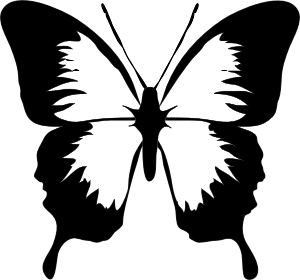 Butterfly Outlines - ClipArt Best