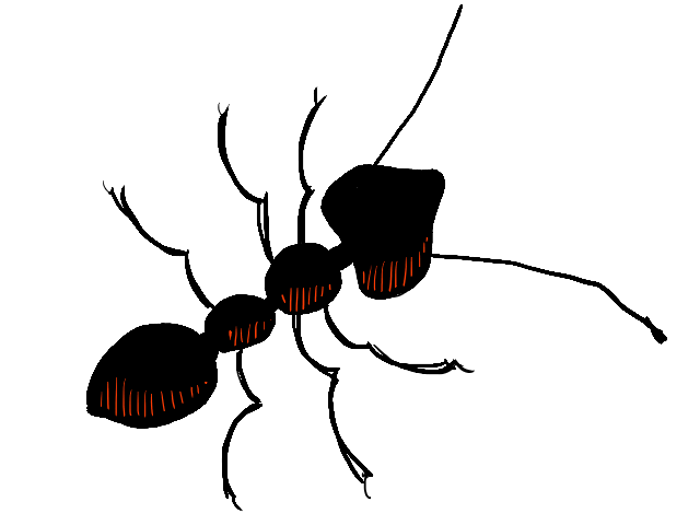 Cartoon Ants - ClipArt Best
