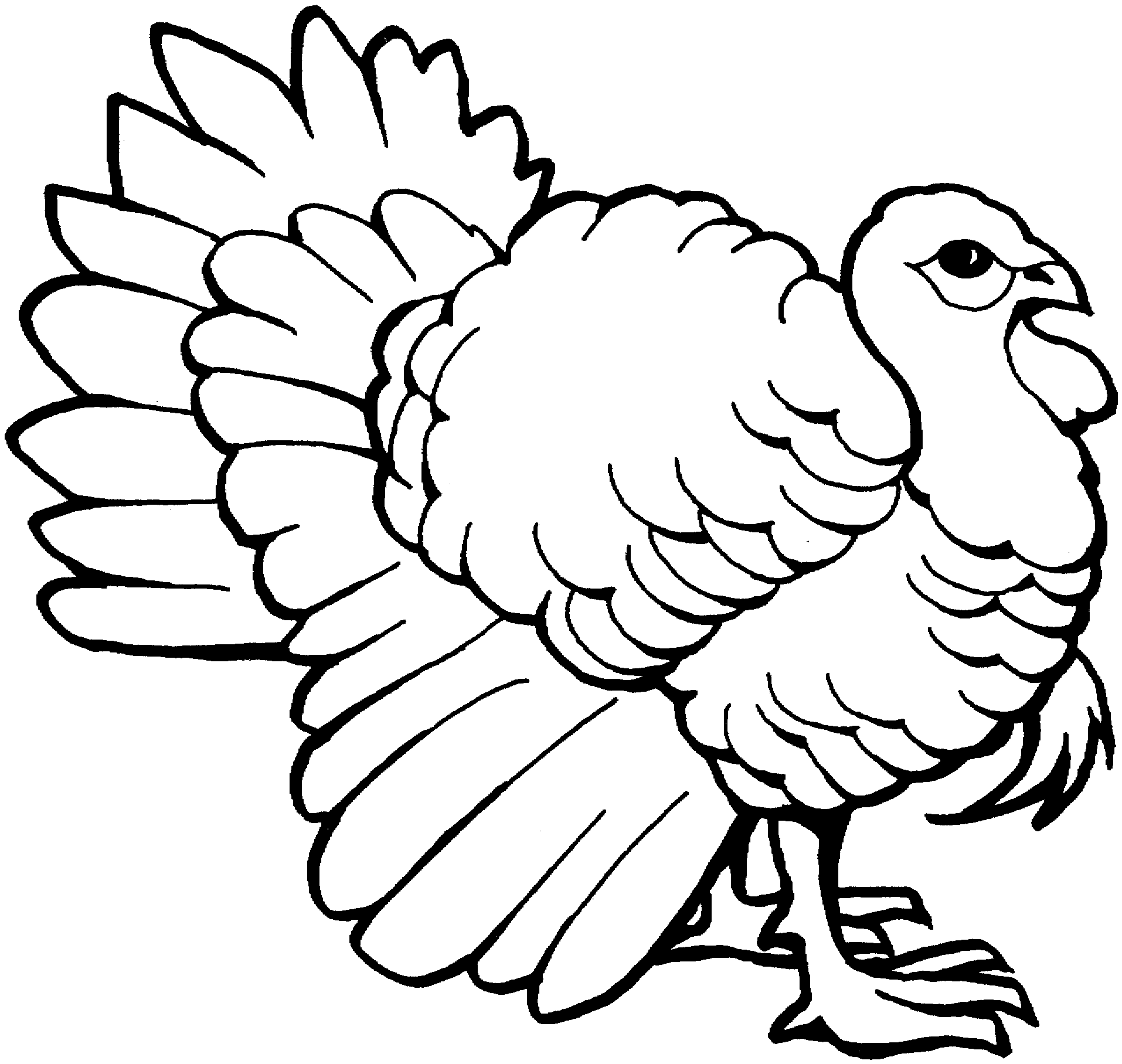 Trends For > Cooked Turkey Coloring Pages