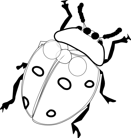 Ladybug Drawing Black And White | Clipart Panda - Free Clipart Images