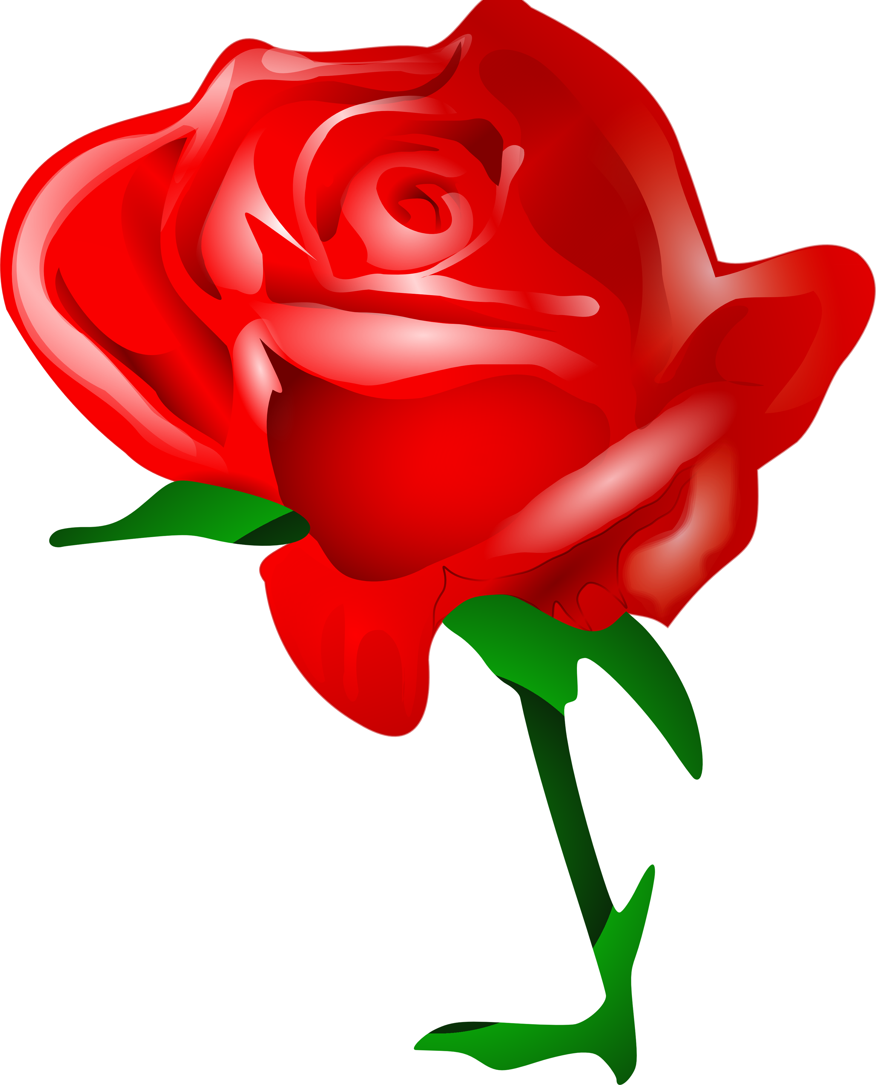 Rose PNG flower images, free download