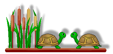 Turtle Clip Art - Turtles and Cattail on a Brown Linebars