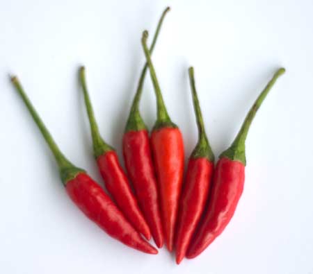 Diet Ideas: The Truth on Weight Loss with Spicy Food
