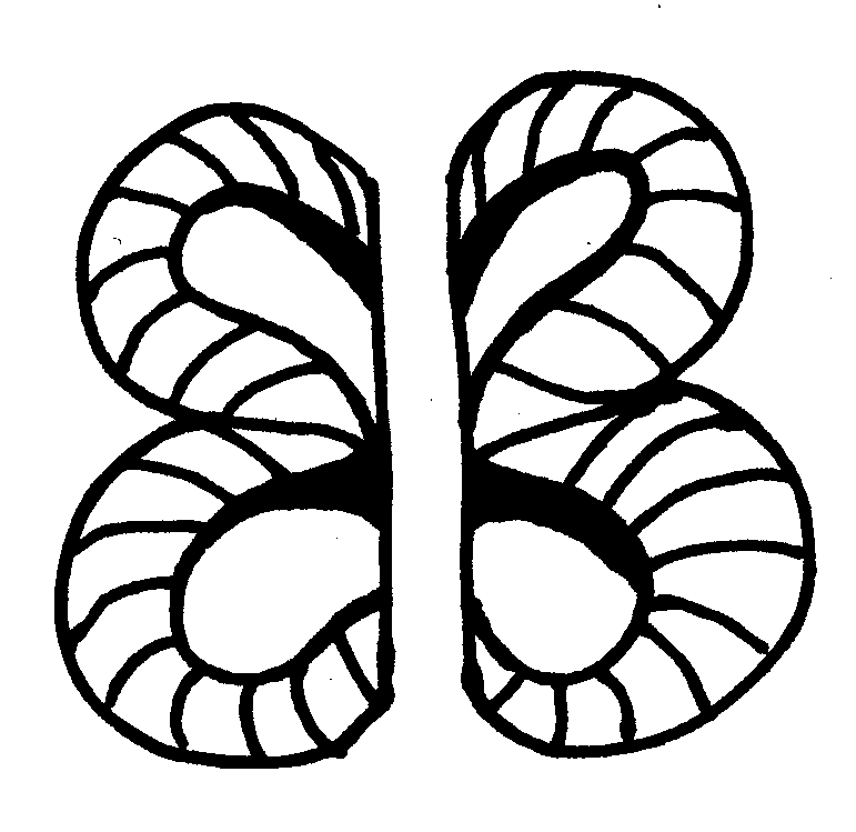 Butterfly Outlines