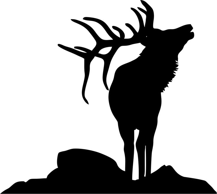 Elk Head Silhouette Cliparts co