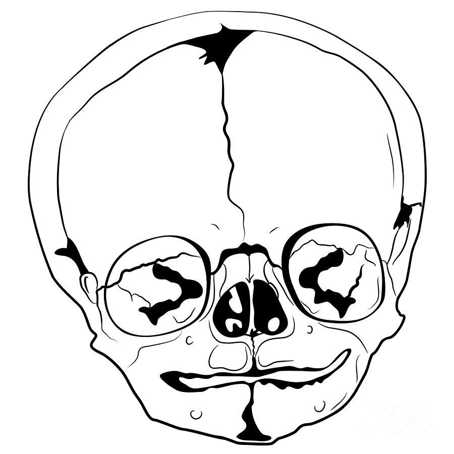 Evil Skull Coloring Pages Images & Pictures - Becuo